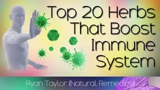 Herbs That Boost Immunity (Anti-Viral)