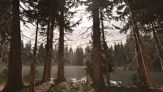 Ingame Realistic Forest Unreal Engine 5.2  Lumen Nanite Quixel