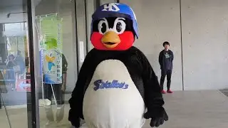 東京ヤクルトスワローズ松山秋季キャンプ2024 つば九郎写真撮影会(2回目) 2024 11/4