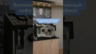 Вечное противостояние 😂  #юмор #мем #хомякмем #работамечты #удаленнаяработа #удаленка #офис #фриланс