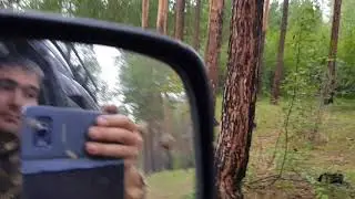 как правильно собирать грибы