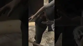 VR moments! 
