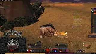 Classic WoW Hardcore FerdaHerd Round 2 13+ Druid