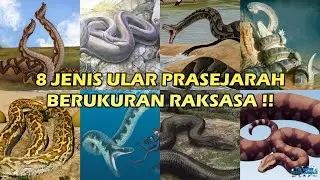 8 Jenis Ular Prasejarah Raksasa selain Titanoboa, lebih BESAR dan lebih PANJANG !!! 🐍🦕