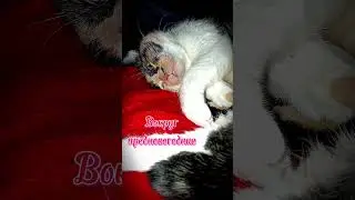 Какая бооооль😭😂 