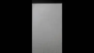 Рисую голубику и даста из SwapTele и DustTele