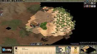 Voobly AOE2 1.6: Arabia, Saracens vs Hindustanis