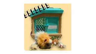 Open Ella’s New Guinea pig toy with us!