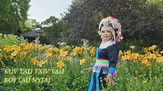 KUV tau txiv yau koj nyiaj