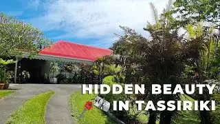 Hidden Beauty in Tassiriki - Caillard & Kaddour