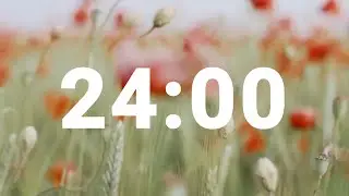 24 Minute Timer with Relaxing Music and Alarm, Countdown Clock for Stress Relief