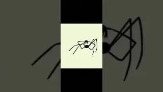 | Spider | #funny #video #shorts
