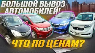 Авто из Японии / Цены подарок / Большой вывоз❗️