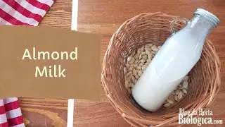 How To Make Almond Milk | Natural | No Additives