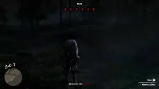 Playing some RDR2 online
