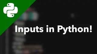 Inputs in Python // Learning Python