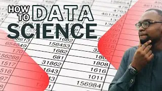 Your Life as a data scientist. What they do in 2024.