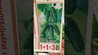 весенние заботы