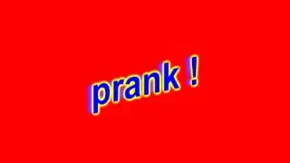 shawarma prank call DUTCH