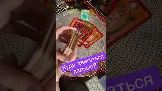 🕊️🩵🤍Куда двигаться дальше #гадание #tarot #tarotcard #tarotreading #tarotonline #гадание