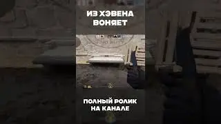 из хэвена воняет 
