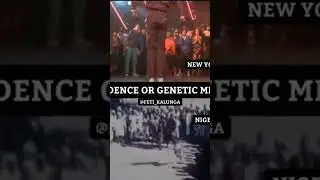HIP HOP GENETIC MEMORY 🧬
