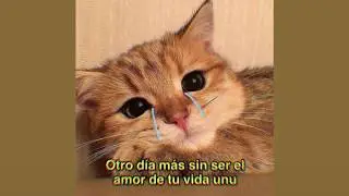 Sin Ti - JEMS