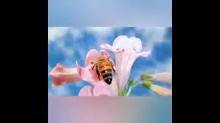 не уходи побудь со мной