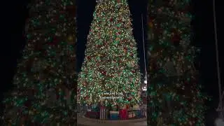 The First Christmas in Disneyland in 1955 