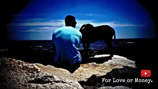 For Love or Money.