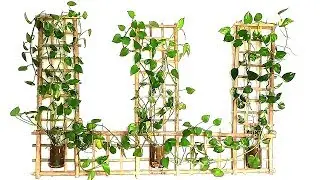 How to Make Beautiful Wall Hanging Money Plant Room Decoration with Bamboo | Money Plant Wall Decor