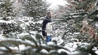 Sleepy of the Trees