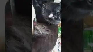 #Где спит дедушка#😂июль2024#
