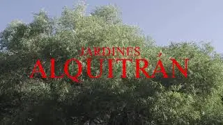 Jardines - Alquitrán