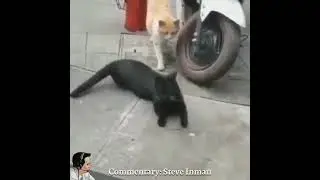 Commentary : Steve Inman (funny clips part:2)