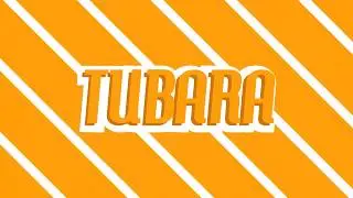 INTRO (Tubara Games)