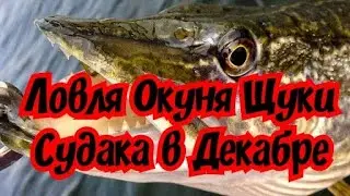 Ловля Окуня Щуки и Судака в Декабре