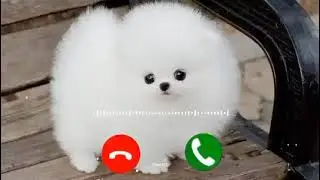Cute sms message Ringtone | Message Tone | Cute sms Ringtone | Love ringtone | notification tone