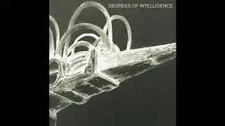 SCB - Intelligence Fetish (Rebekah Remix)