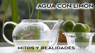 AGUA CON LIMÓN: MITOS Y REALIDADES @andreszapatanutricionista