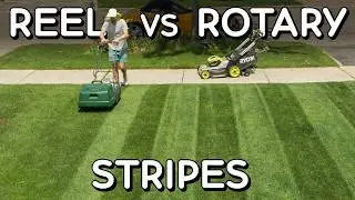 BEST LAWN STRIPES! Rotary vs Reel Mowing Real World Test