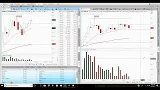 Live Trades on $RIOT, $PTI, $OMER  12-12