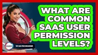 What Are Common SaaS User Permission Levels?