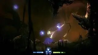 ori and the will of the bugs