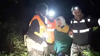 Грибной сентябрь, или как мы выводим из леса.