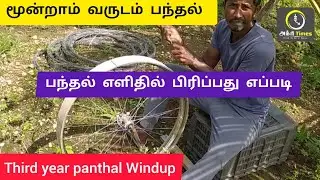 மூன்றாம் வருடம் பந்தல்  Third Year panthal windup