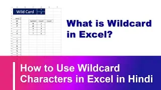 How to Use Wildcard Characters in Excel in Hindi Excel wildcard trick for filter and count-if