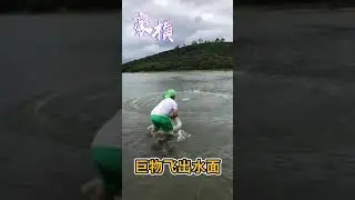 Best Asian Net Fishing 🐟