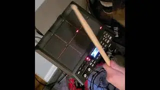BestBeats - Wild Dreams Sample Pad (SPD-SX) Drum Performance