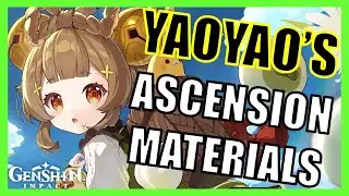 Yaoyao's Ascension Materials Farm Guide - Genshin Impact